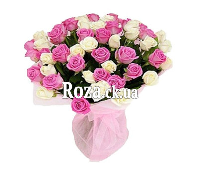 55 white and pink roses