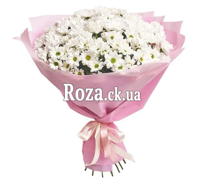 Bouquet of white chrysanthemums