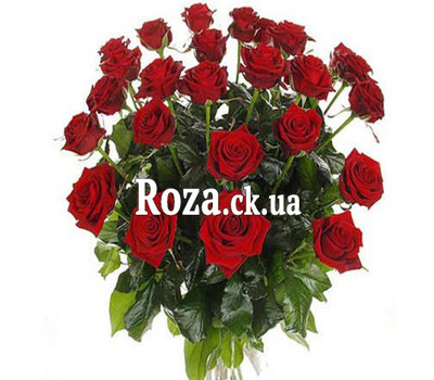 Bouquet of burgundy roses
