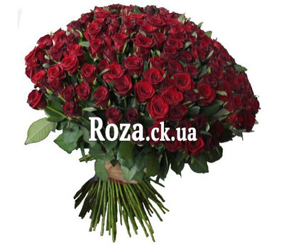 Bouquet of 301 roses
