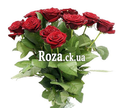 Bouquet of red roses Cherkassy