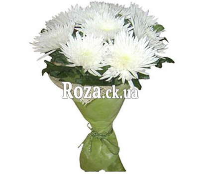 Bouquet of single chrysanthemums