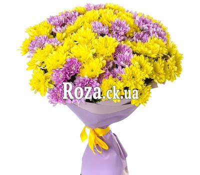 Bouquet of multicolored chrysanthemums