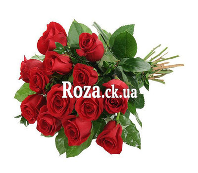 Bouquet of roses with ribbon