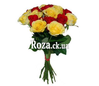Bouquet of roses