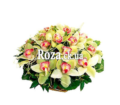 Basket of flowers from orchids