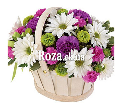 Chrysanthemum Basket