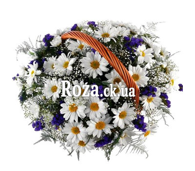 Basket of chrysanthemum and chrysanthemums