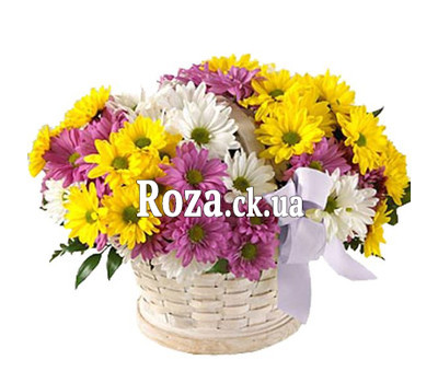 Basket of multi-colored chrysanthemums
