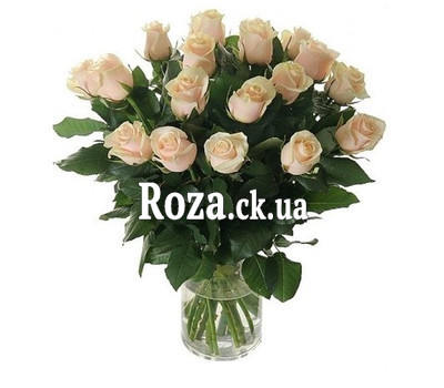 Cream roses in a bouquet