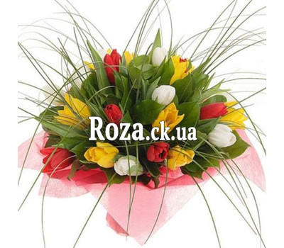 Buy tulips from Cherkassy