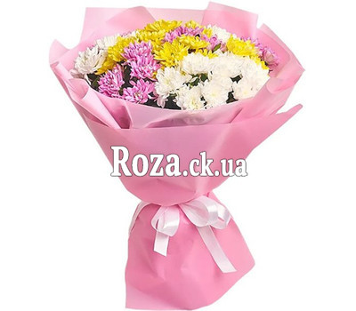 Buy chrysanthemums Cherkassy