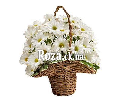 A small basket of chrysanthemums