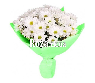 A small bouquet of whites chrysanthemums