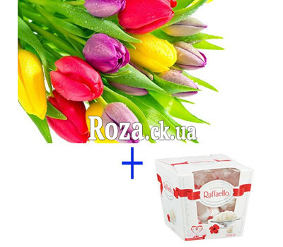 Gift Solution 7