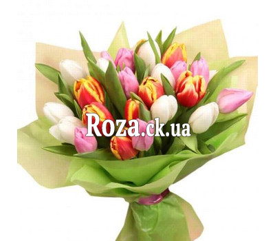 Tulips with delivery to Cherkassy