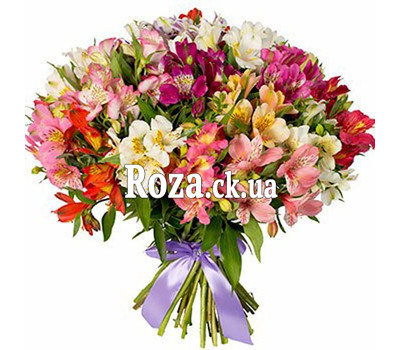Bright bouquet of alstroemerias