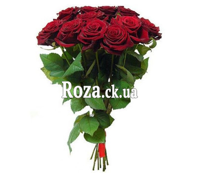 A wonderful bouquet of 11 red