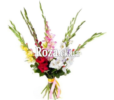 Small bouquet gladiolus