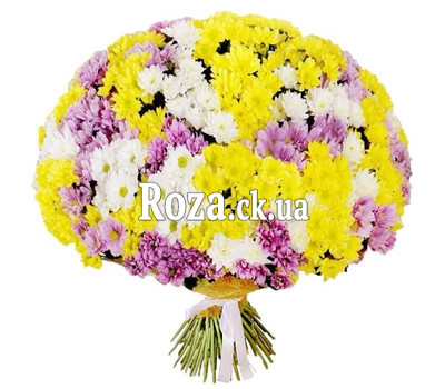 101 chrysanthemum in the bouquet