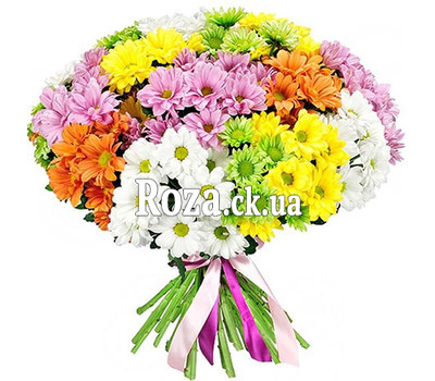 35 spray chrysanthemums