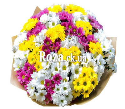 Mixed bouquet of chrysanthemums