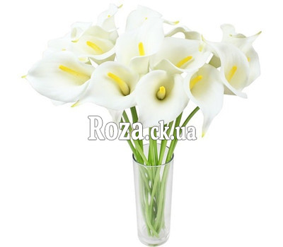 21 white callas