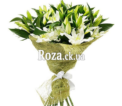 21 white lily