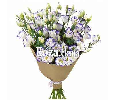 21 eustoma in fashion design