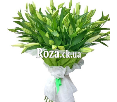 25 white lilies