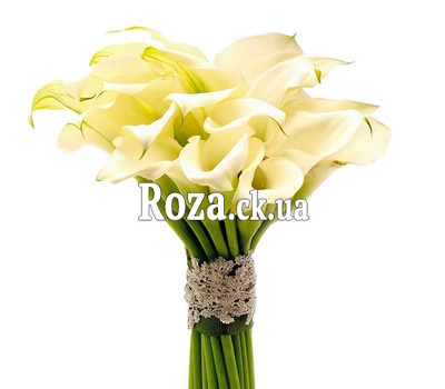 25 callas in bouquet