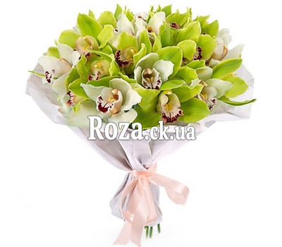 25 orchids in kraft paper
