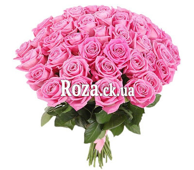 41 pink rose