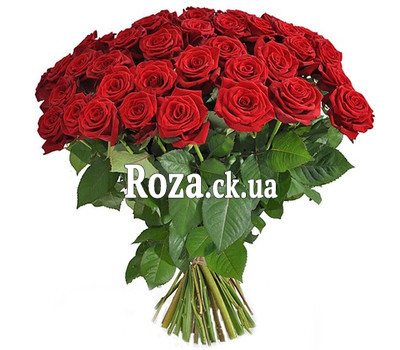 71 red rose