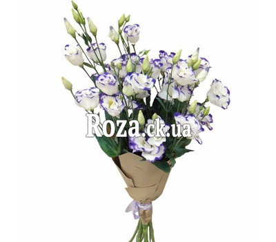 Bouquet of 9 lisianthus