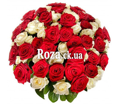 Red and white roses in a wonderful bouquet