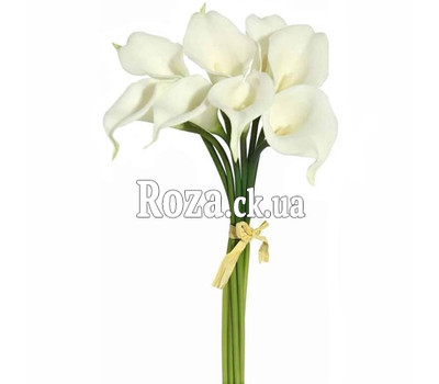 Small bouquet of callas