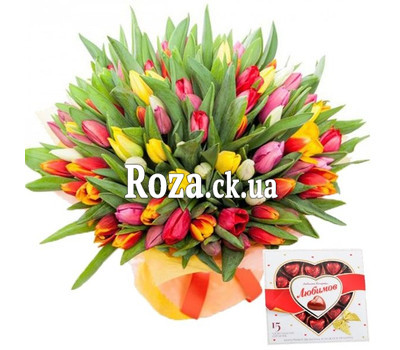 101 tulip and candy