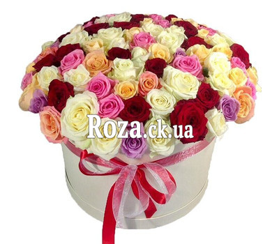 101 roses in a box