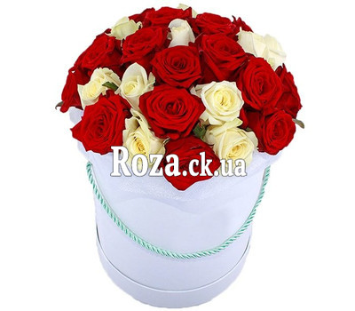 Box of red and white roses