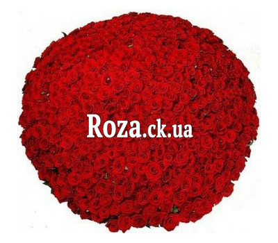 1001 rose in bouquets