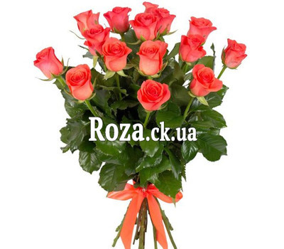 15 orange roses