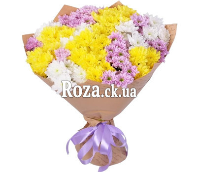 11 multi-colored chrysanthemums