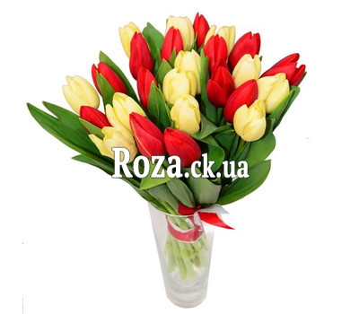 25 white and red tulips