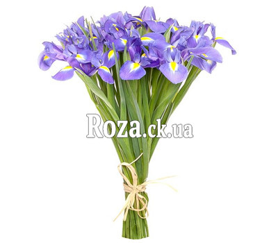 25 irises