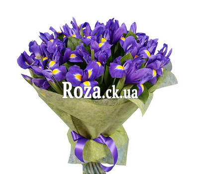 35 irises