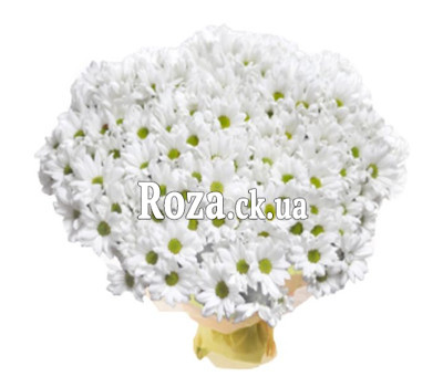 Large bouquet of chrysanthemums