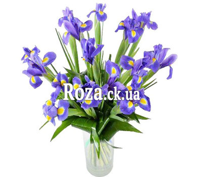 Bouquet of irises