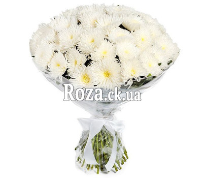 A bouquet of large chrysanthemums