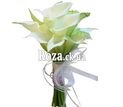 Bouquet of callas